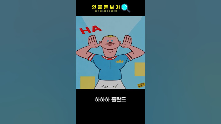 홀란드 응원가 번역#shorts