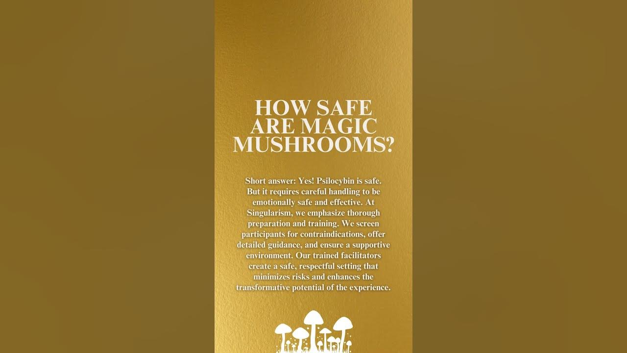 How safe are magic mushrooms youtube