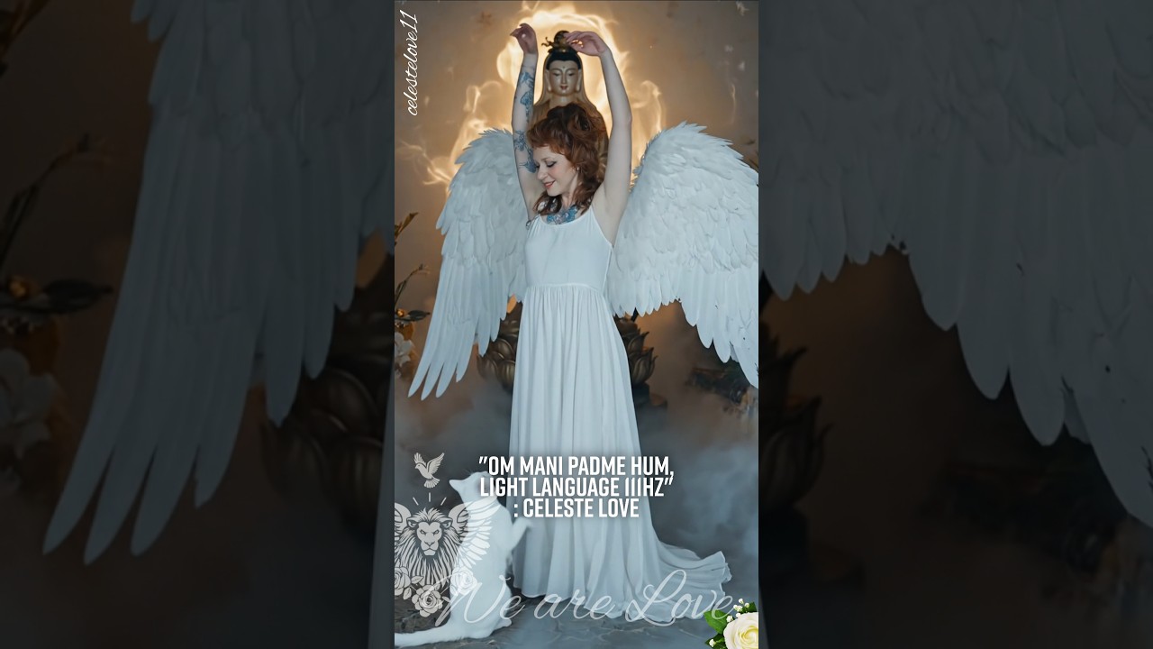 Om Mani Padme Hum, Light Language 111hz 👑 #lightlanguage #angel #cat #cats #ommanipadmehum #quanyin