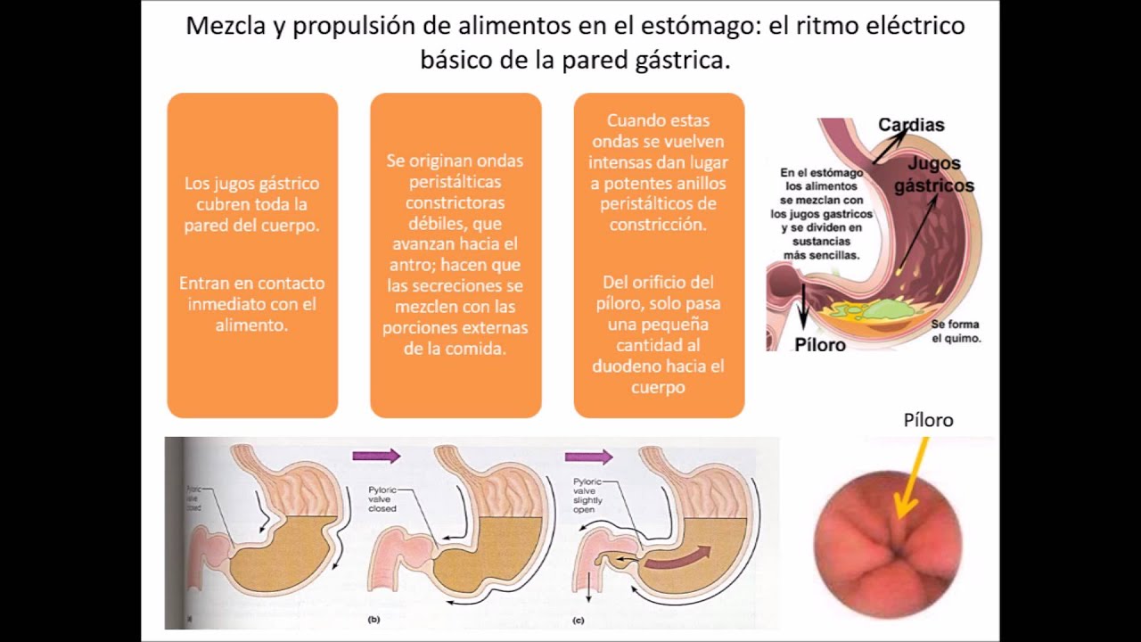 Alimentos malos para el estómago