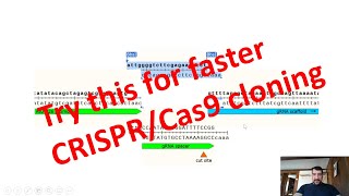 Easy CRISPR/Cas9 plasmid cloning