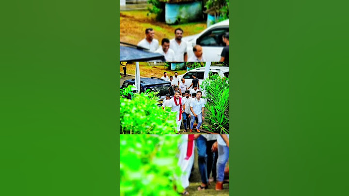 පාලිත තෙවරප්පෙරුමට අවසන් ගෞරව දක්වන්න ආව මන්ත්‍රීවරු 😭🙏 palitha thewarapperuma