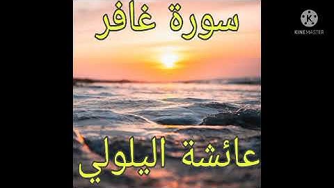 سورة غافر برواية ورش عن نافع