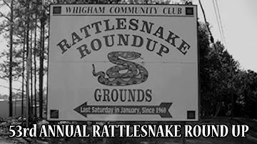 Whigham Rattle Snake Round Up  4
