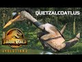 Quetzalcoatlus - Species Field Guide - Jurassic World Evolution 2 Dominion Biosyn Expansion (4K)