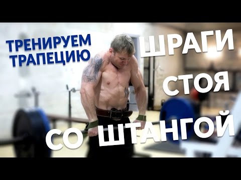 Шраги со штангой стоя. Упражнения для трапеции.