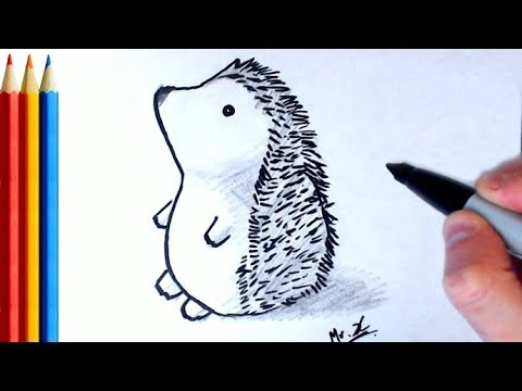 fast-version) How to Draw Cute Hedgehog - Step by Step Tutorial - YouTube