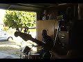 Blues Alley Blues Band &#39;Give Me Back My Wig&#39; garage rehearsal 2021