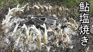 鮎の炭火塩焼き 竹串作りから串の打ち方も