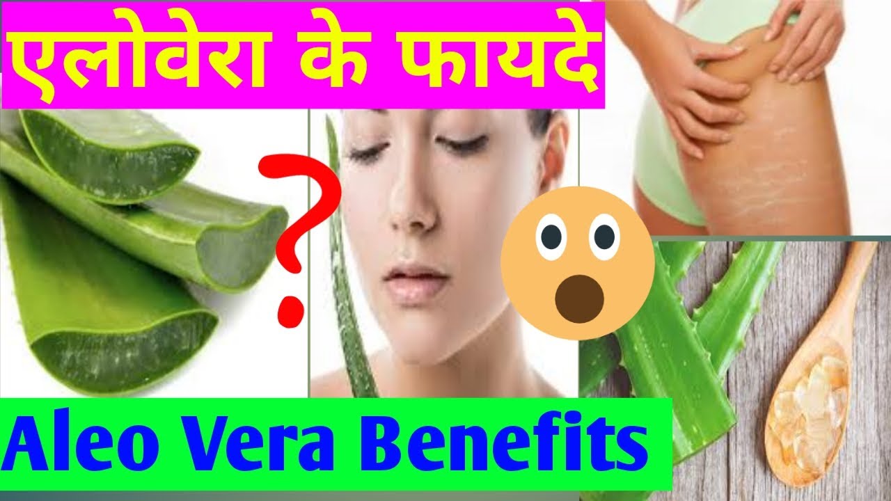 Aloe Vera Benefits एलो वेरा के फायदे Treatment through Aloe Vera