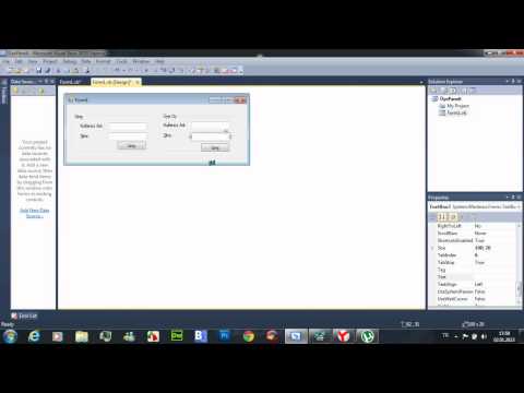 Visual Basic 2010 User Panel