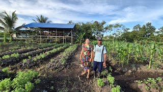 TRANSMIGRATION STORY: A COUPLE FROM PATI FARM AND RAISE LIVESTOCK ON A FORMER COASTAL SWAMP LAND ...