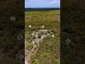Mini 5 pro nature view #viral #djidrone #dji #drone #trending #nature