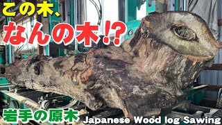 【ボコボコの変木】なんの木か不明な原木を製材【木の店さんもく】Japanese wood log Sawing
