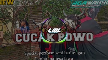 DJ BANTENGAN CUCAK ROWO ❗❗LEMBU MAHESO LAWU (REMIXER BY RGA WAHYU PROJECT)