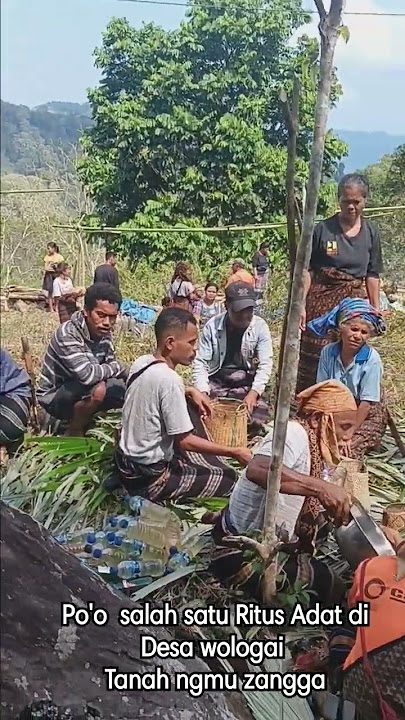 Ritus Adat Po'o Ende Wologai