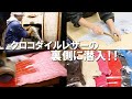 クロコダイルのタンナーに潜入したら『職人技』の連続だった‼︎