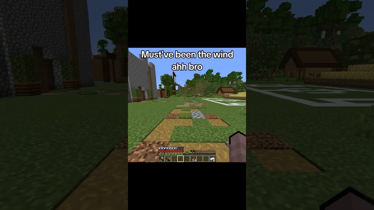 Please Click The Sound It Gives Me Money Minecraft Funny Joke Skit Scliffler