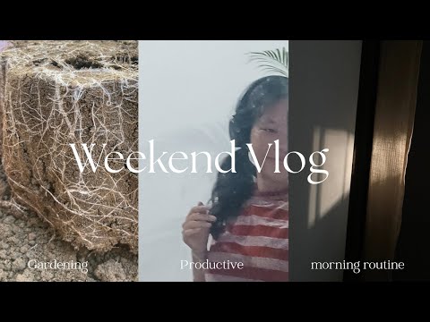 Productive Weekend || raw manure || Cleaning || morning routine