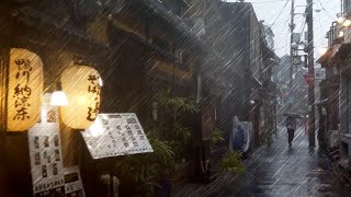 4K JAPAN RAIN WALKING IN MASSIVE THUNDERSTORM (Downtown Kyoto, Kiyamachidōri, Japan) 雨の散歩