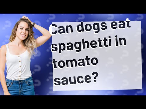 فيديو: هل يمكن للكلاب أن تأكل السباغيتي؟