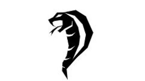 Viper Obfuscator - 2022