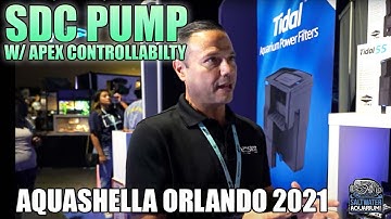 SICCE SDC w/ Apex Controllability! - Aquashella Orlando 2021