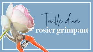 La taille d'un rosier grimpant (