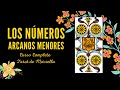 ARCANOS MENORES: LOS NÚMEROS - CURSO COMPLETO TAROT DE MARSELLA