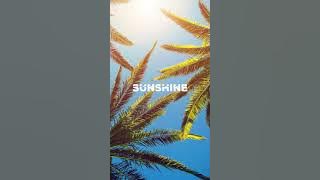 [FREE] Lo fi Type Beat 