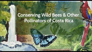 Conserving Pollinators in Costa Rica 2023