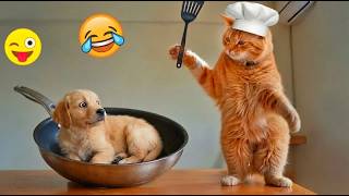 Crazy Funny Cats & Dogs That Will Make You Laugh Nonstop 🐱🐶🤣