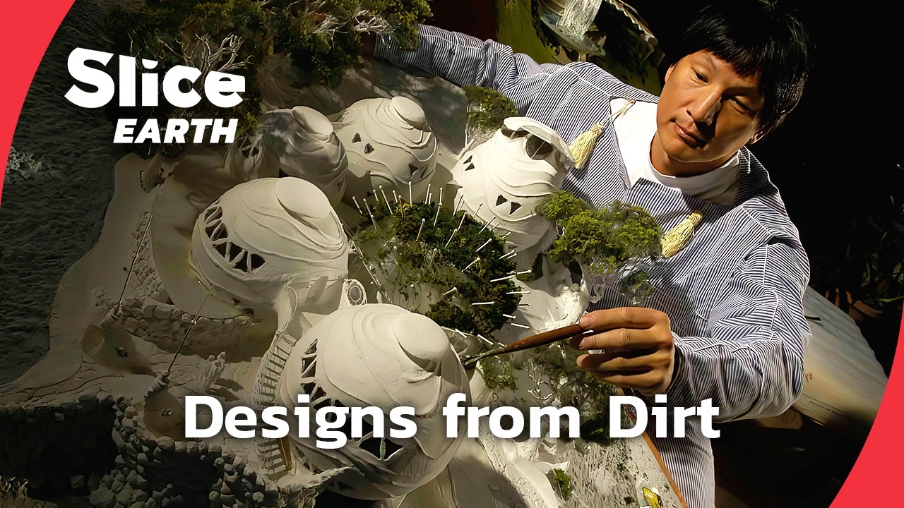 Insect Architects: The Surprising Origin of Modern Engineering | SLICE EARTH | FULL DOC