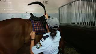 Mounted Unit