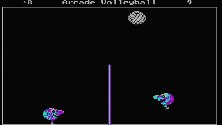 Rhett Anderson - Arcade Volleyball - 1989