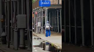 Born To Be A  Tgif 13  dance shorts weekend tgif 70s views celebration nyc