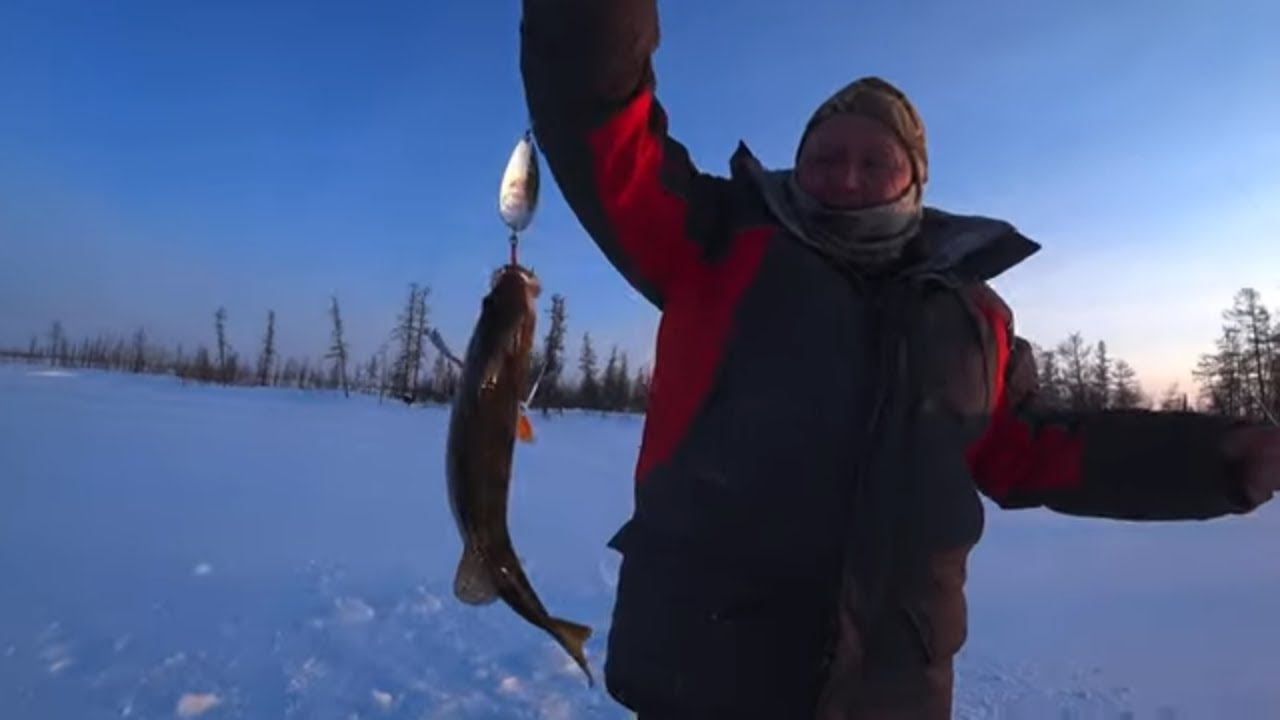 Рыбалка новинки ютуба. Клёвая рыбалка в Якутии 2021. Якутия клевая рыбалка 2020 зима. Клёвая рыбалка Якутия последнее. Зимняя рыбалка Якутия клевая рыбалка.