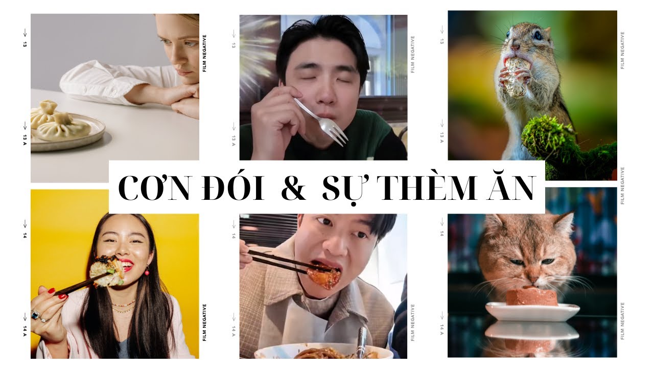 CƠN ĐÓI VÀ SỰ THÈM ĂN | SERIES HIỂU VỀ THỨC ĂN TRONG 5 PHÚT