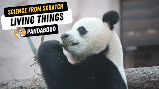 #13 What are Living Things? - Science from Scratch - For Kids