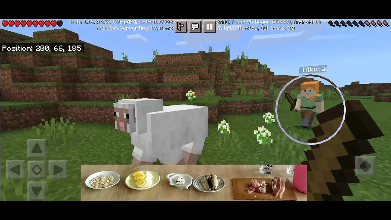 Minecraft: Šta smo ulovile to smo i pojele