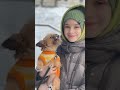 kids dog lover #shorts #dog