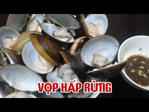 VỌP HẤP RỪNG# VỌP HẤP RỪNG# VỌP HẤP RỪNG# - YouTube