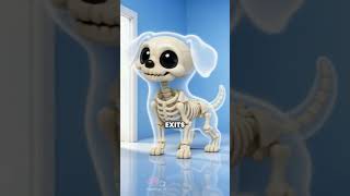 Dog Cries When You Leave? Separation Anxiety Signs What To Do