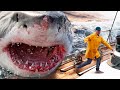 Apa yang Kita Butuhkan untuk Menangkap Megalodon?