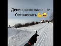 Фалёнская лыжня всего 3 км