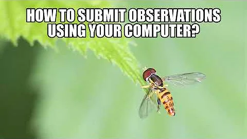 Virginia BioBlitz- How to submit observations usin...