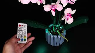 Light Kit for LEGO Orchid #10311 (ver 1)