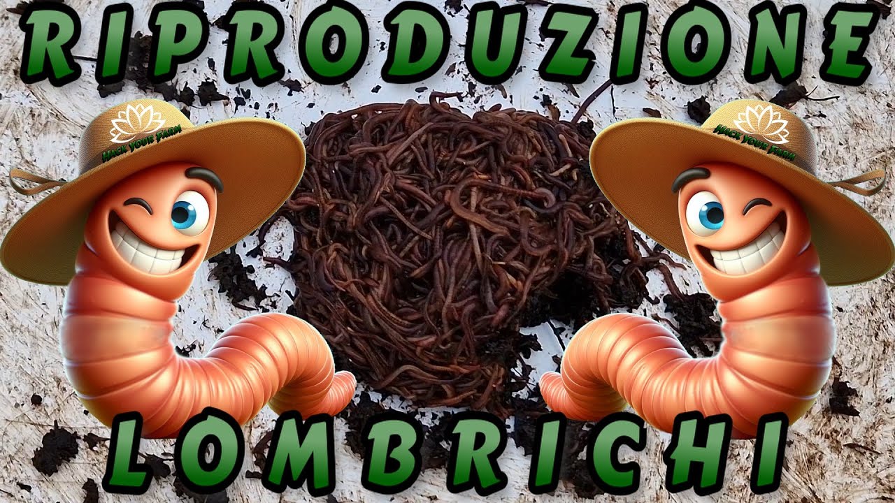 Earthworm breeding - how to make them reproduce