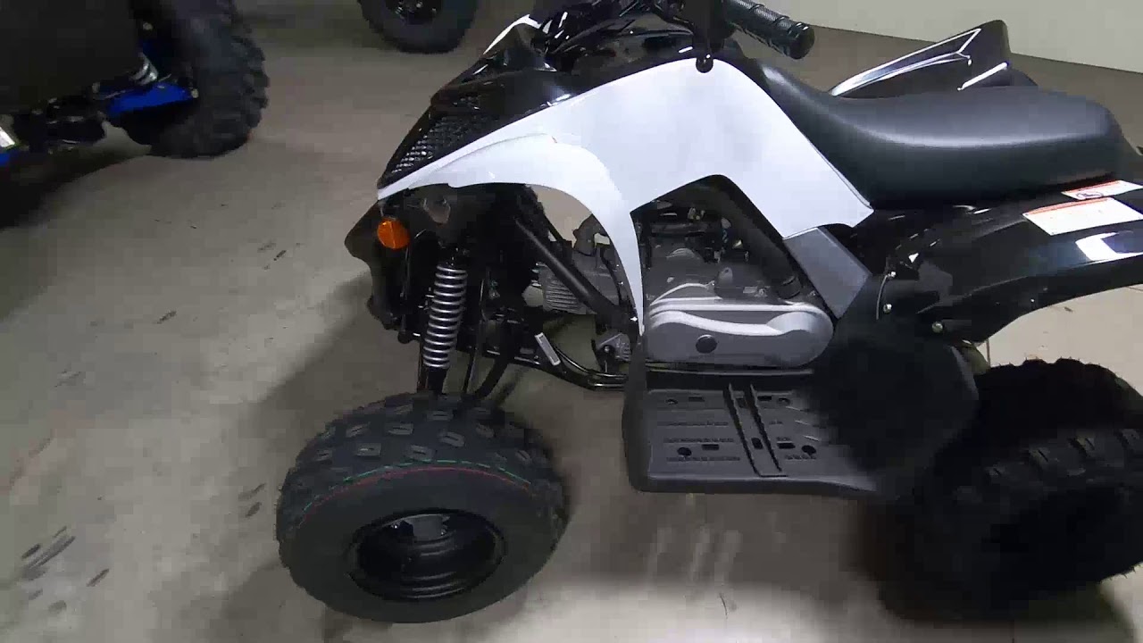 2019 Yamaha Raptor 90 -New ATV For Sale- Greeley, CO - YouTube