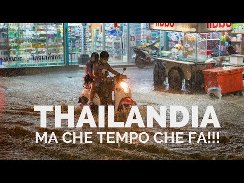 Video: Qual è Il Momento Migliore Per Visitare La Thailandia? Rete Matador